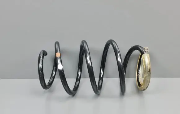Dacia Sandero II Front coil spring