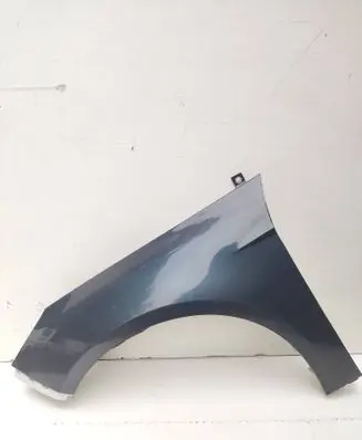 Ford Focus Fender