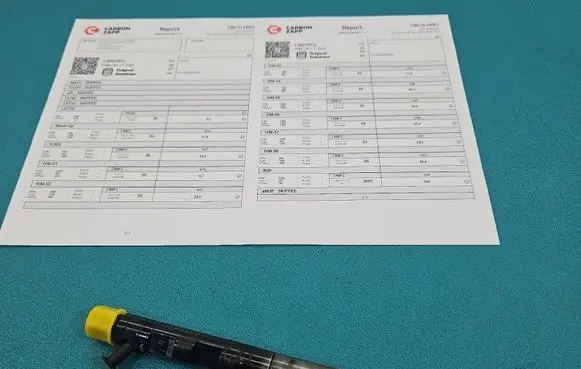 Renault Scenic II - Grand scenic II Fuel injector EJBR01801Z IMPRK1546139