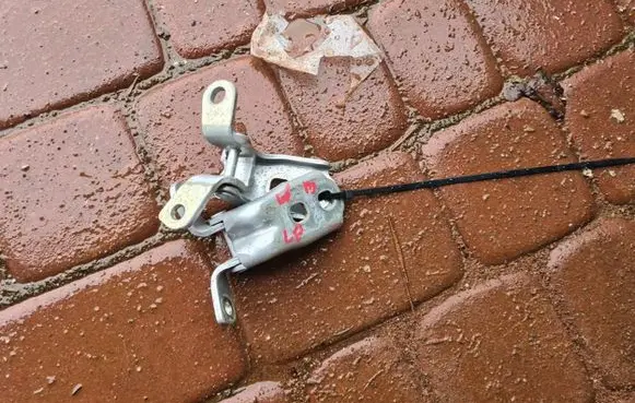 Opel Insignia B Loading door hinge set 95514899