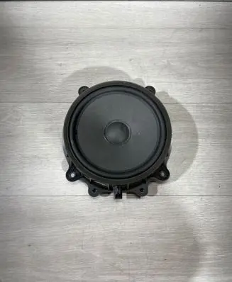 Tesla Model 3 Front door speaker 107974400E