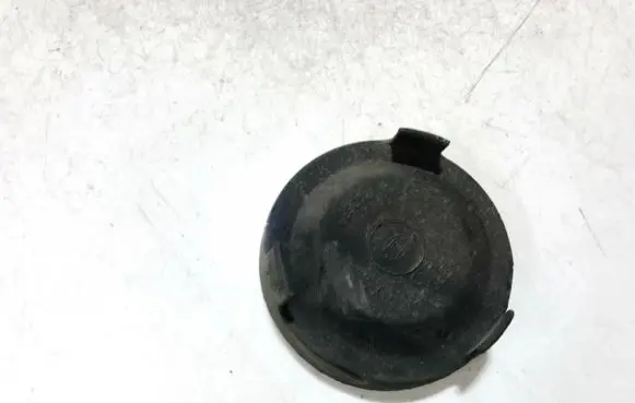 Headlight/headlamp dust cover