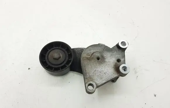 Ford Mondeo MK V Alternator belt tensioner 846143