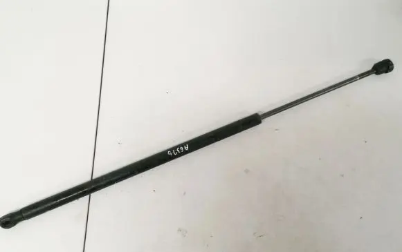 Tailgate/trunk strut/damper