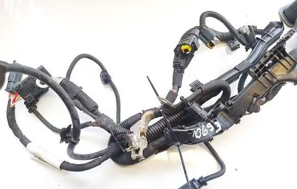 Other wiring loom