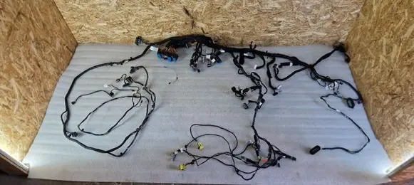 Renault Captur Wiring harness 