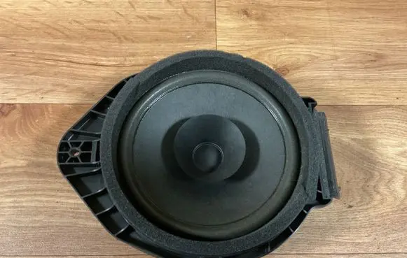 Opel Insignia A Rear door speaker 