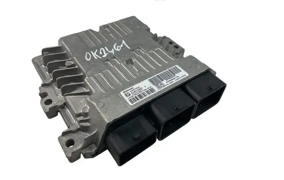 Engine control unit/module ECU