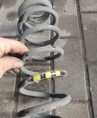 Peugeot 307 Rear coil spring