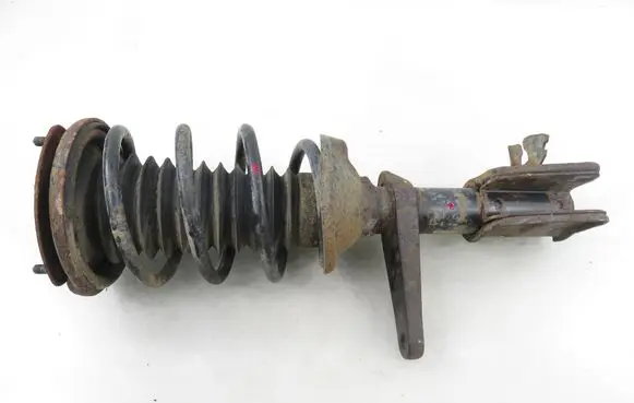 Land Rover Freelander Front shock absorber with coil spring 