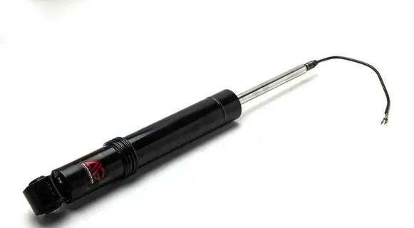 Porsche Cayenne (92A) Rear shock absorber/damper 95835802051 95835801942 95835802026
