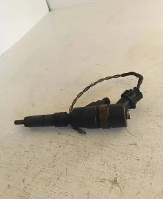 Peugeot 406 Fuel injector 9641742880 0445110076