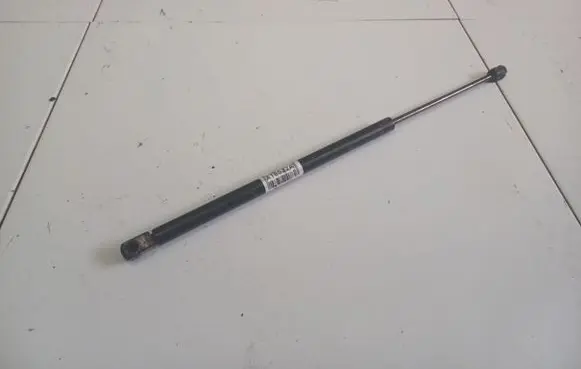 Tailgate/trunk strut/damper