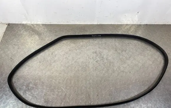 Rear door rubber seal (on body)