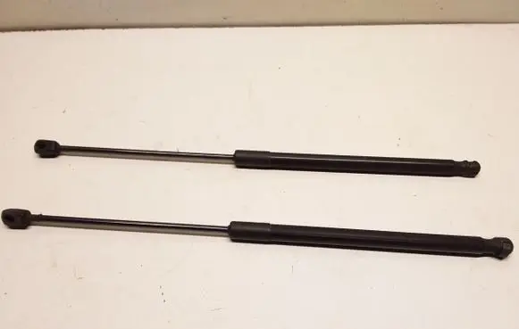 Tailgate/trunk strut/damper