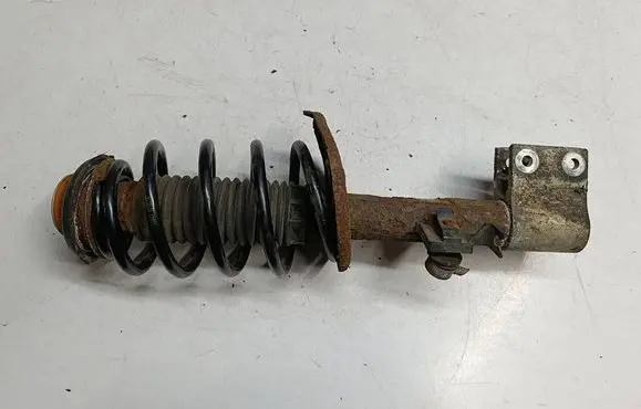 Citroen DS5 Front shock absorber with coil spring 96841541978