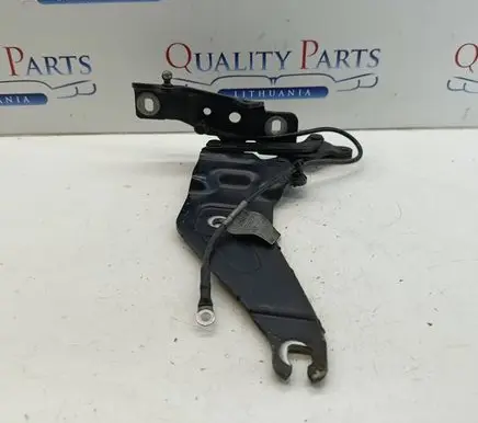 BMW X5 E70 Engine bonnet/hood hinges 7208628