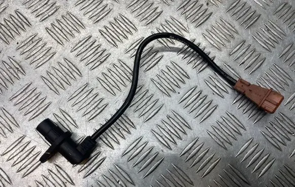 Citroen Xsara Crankshaft position sensor 10234006
