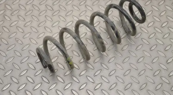 Rear coil spring