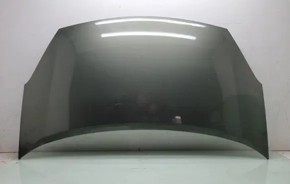 Engine bonnet/hood