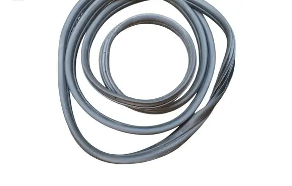 Renault Master III Front door rubber seal 