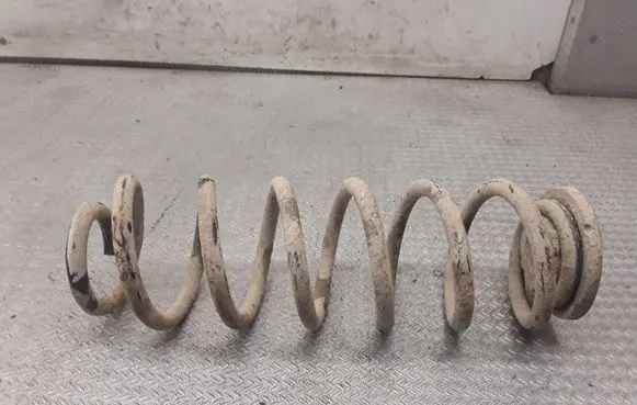 Rear coil spring