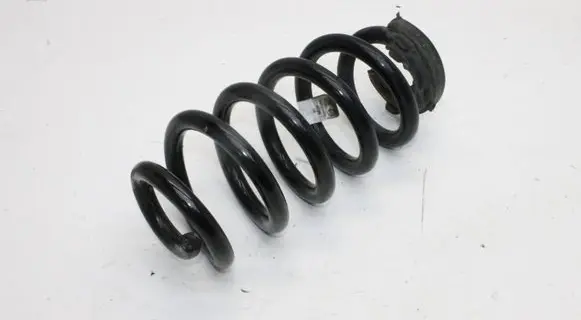 Cupra Born Rear coil spring 1EA511103Q
