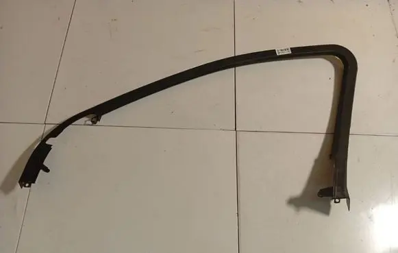 Renault Laguna III Front door glass trim molding 96846147