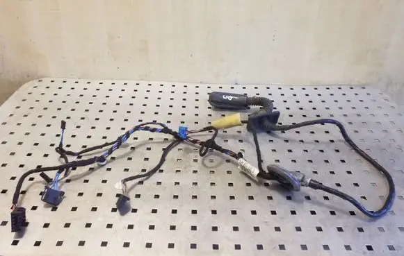 Front door wiring loom