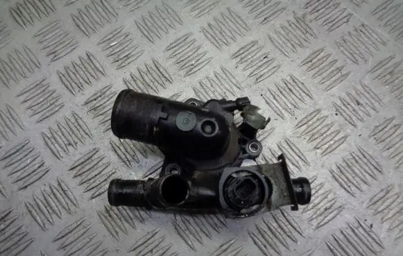 Thermostat/thermostat housing