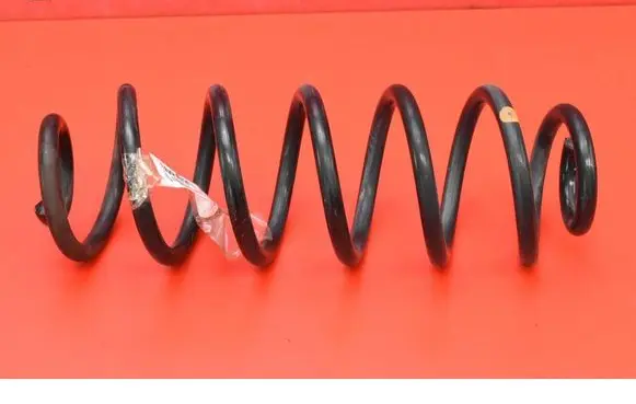 Rear coil spring