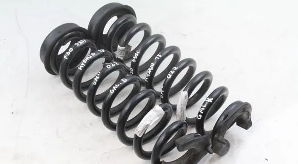 Rear coil spring