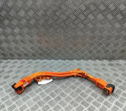 Tesla Model 3 Other wiring loom 110900000E