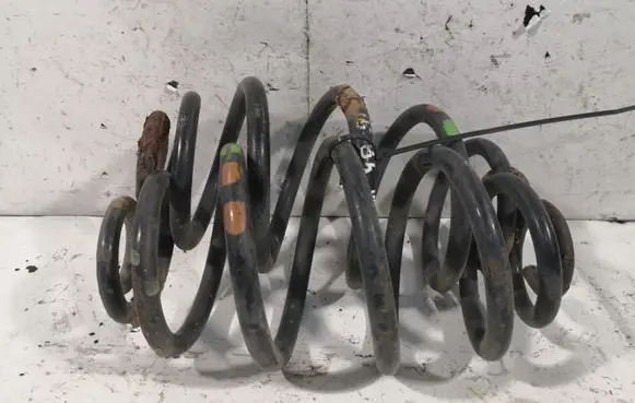Volkswagen PASSAT B5 Rear coil spring