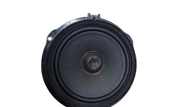 Jaguar I-Pace Rear door speaker JJ3218808BA 10041811014A