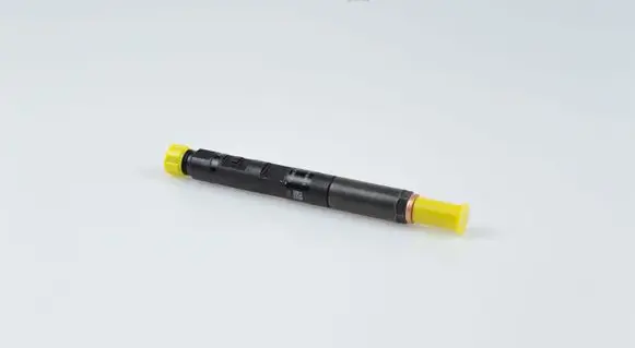 Renault Clio III Fuel injector 28232242