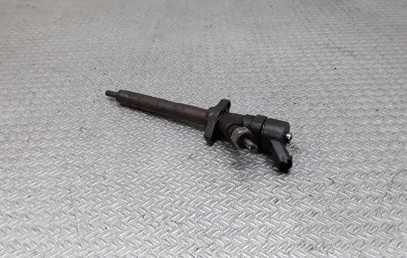 Citroen C8 Fuel injector 0445110036