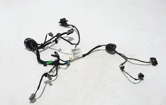 Other wiring loom