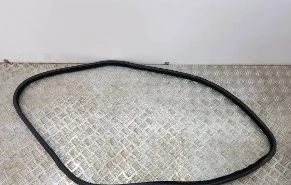 Infiniti Q30 Front door rubber seal 600691