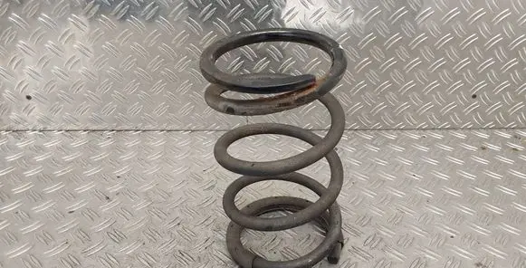 Rear coil spring