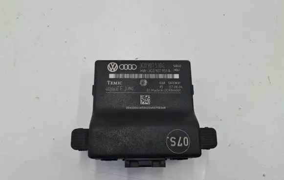 Volkswagen PASSAT B6 Gateway control module 3C0907530C