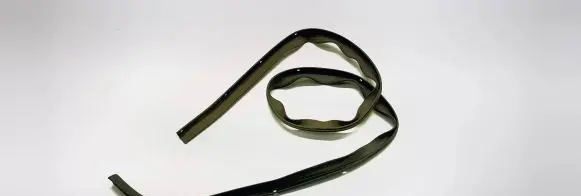Volvo V40 Rubber seal rear door 31298381