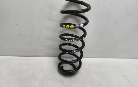 Rear coil spring