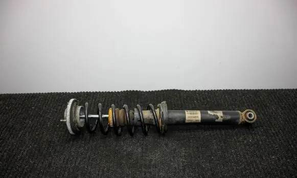 Rear shock absorber/damper