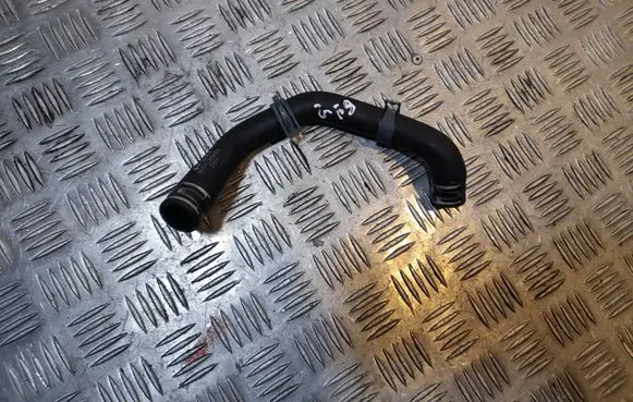 Audi A4 S4 B9 Engine coolant pipe/hose 8W0813370C