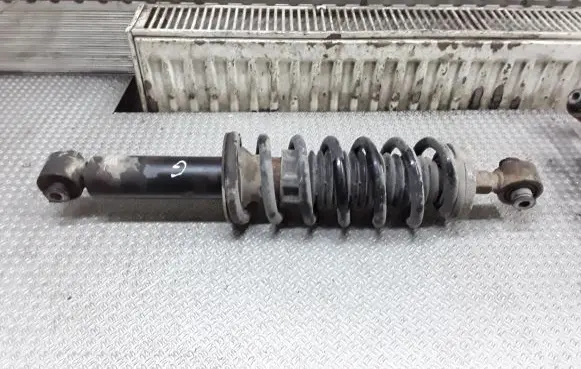 Peugeot 407 Rear shock absorber with coil spring 