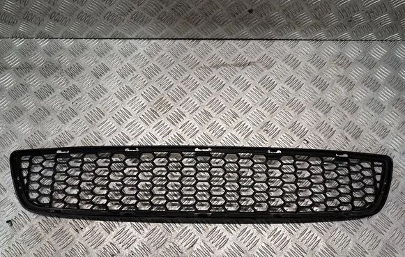 Front bumper lower grill