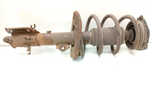 Nissan Leaf I (ZE0) Front shock absorber/damper 543211KA0B