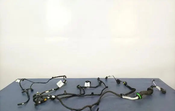 Citroen C4 Cactus Other wiring loom 9829883980