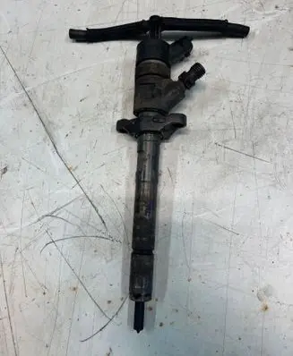 Peugeot Partner Fuel injector 0445110234